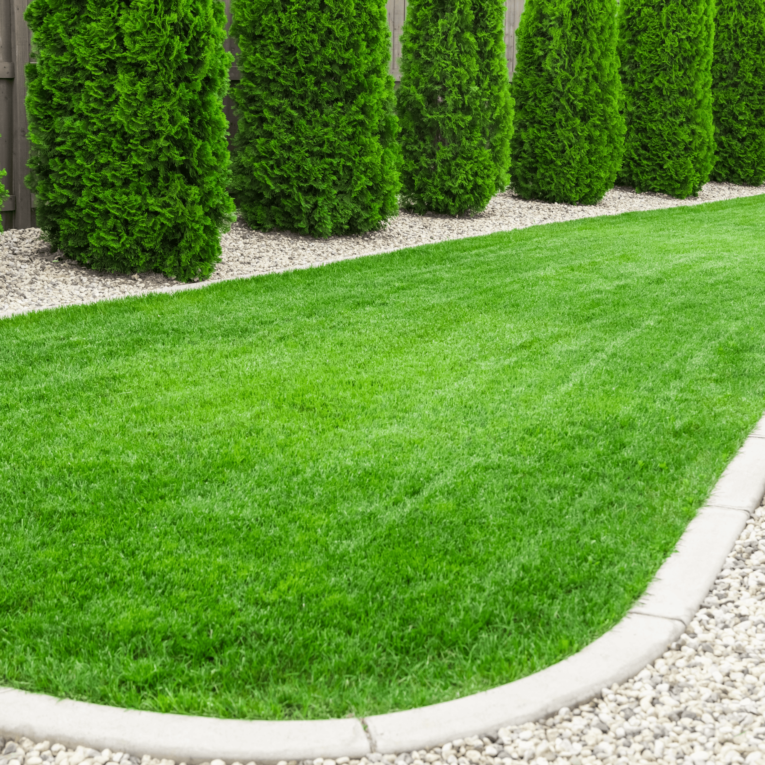Professional lawn edging showing curved bed border perfection by Elite Landscaping DFW